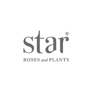 Star Roses and Plants