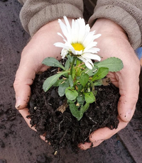 Grower's Choice Professional Potting Soil
