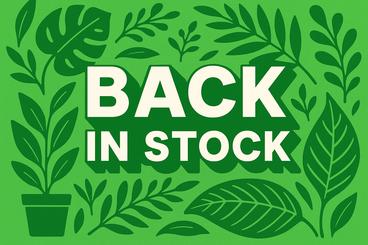 Back in Stock