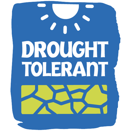 Drought Tolerant