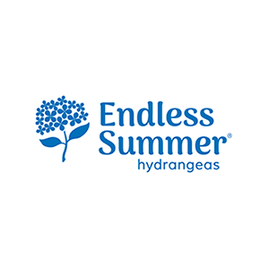 Endless Summer Hydrangeas – Plant Factory Direct