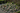 Rock Gardens