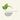 Nutritive Solutions logo