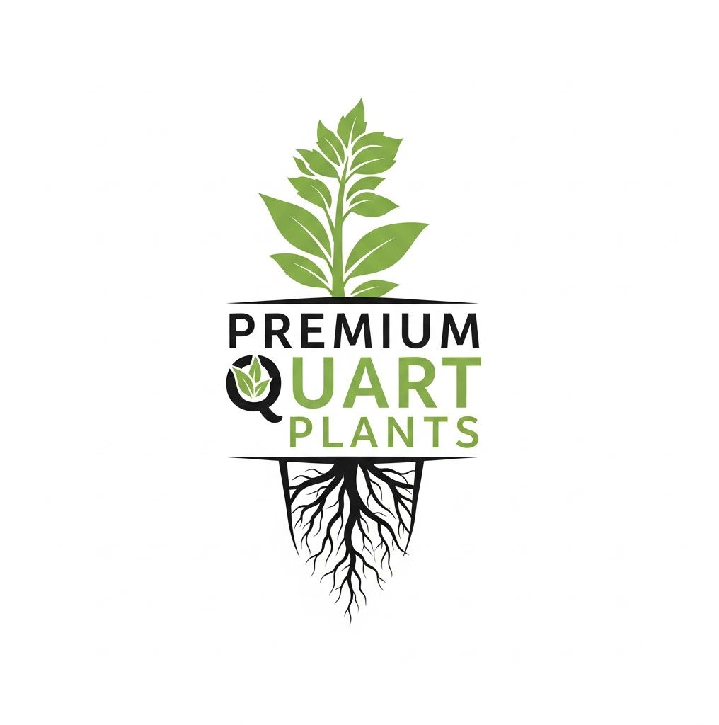 "Premium Quart Plants"