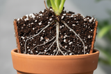 Horticultural Perlite