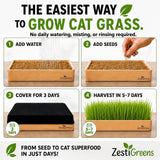 Self Watering Cat Grass Kit. The Easiest Way to Grow Cat Grass.