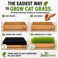 Self Watering Cat Grass Kit. The Easiest Way to Grow Cat Grass.