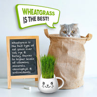 Cat Grass Mug Growing Kit