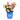 Gumball Goody™ Rose