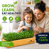 Microgreens Growing Kit Self Watering