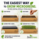Microgreens Growing Kit Self Watering