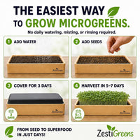 Microgreens Growing Kit Self Watering