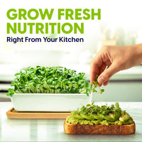 Ceramic Microgreens Growing Kit to Grow 3 Crops Including Organic USDA Sunflower, Melon & Mixed Microgreens Seeds.