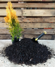 Nutritive Solutions® Professional Potting Soil