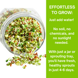 Organic 5 Variety Pack of Fresh Sprouting Seeds