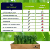 Organic Wheatgrass Growing Kit, Self Watering