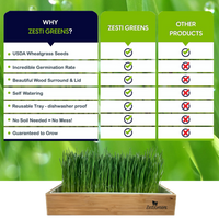 Organic Wheatgrass Growing Kit, Self Watering