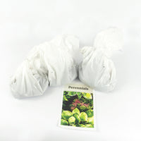 Whole Lotta Hosta | Assorted 3 Pack of Bare Root Premium Hosta Plants