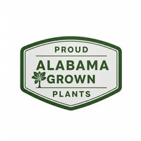 Thuja Green Giant Screen Packs - Fast Growing Privacy Trees- Free Shipping