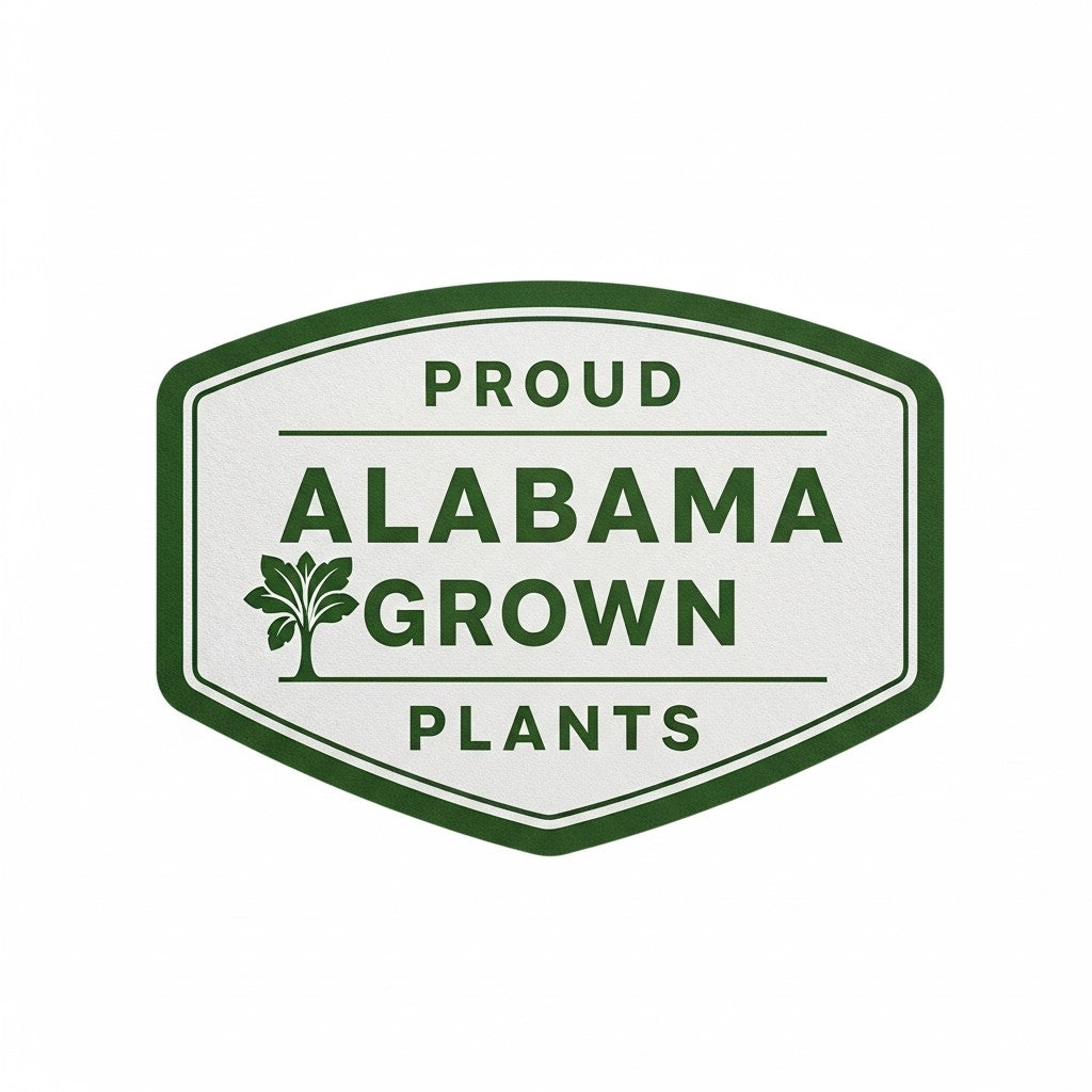 Thuja Green Giant Screen Packs - Fast Growing Privacy Trees- Free Shipping