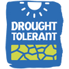 Drought Tolerant