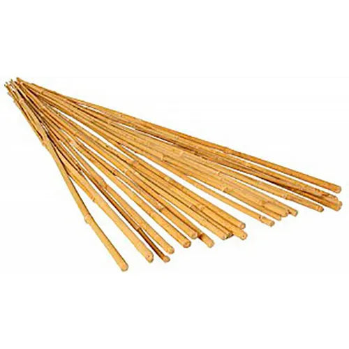 Natural Bamboo Stakes 48" tall - 25 per bundle