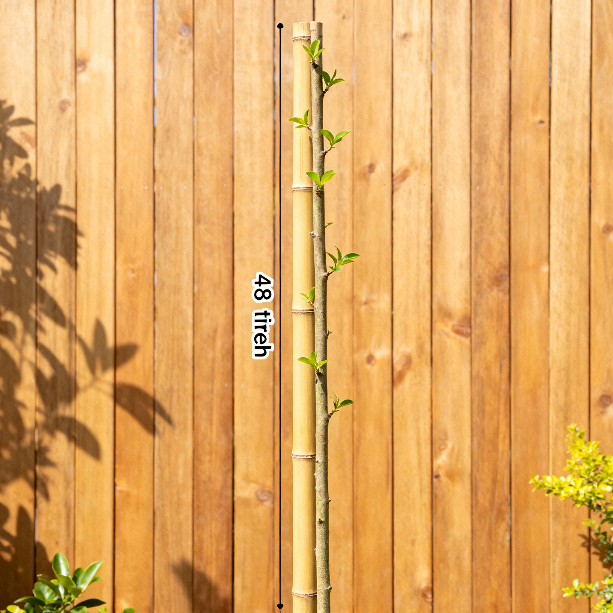 Natural Bamboo Stakes 48" tall - 25 per bundle