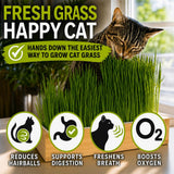 Self Watering Cat Grass Kit. The Easiest Way to Grow Cat Grass.