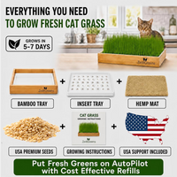Self Watering Cat Grass Kit. The Easiest Way to Grow Cat Grass.