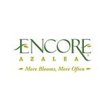 Autumn Fire® Encore® Azalea
