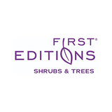 "Spring Sizzle™ Panicle Hydrangea | Panicle Hydrangea