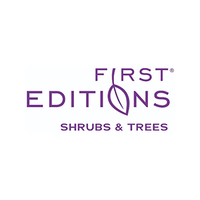 "Spring Sizzle™ Panicle Hydrangea | Panicle Hydrangea