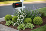 show the mailbox