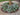 Supertunia Mini Vista® White Petunia hybrid